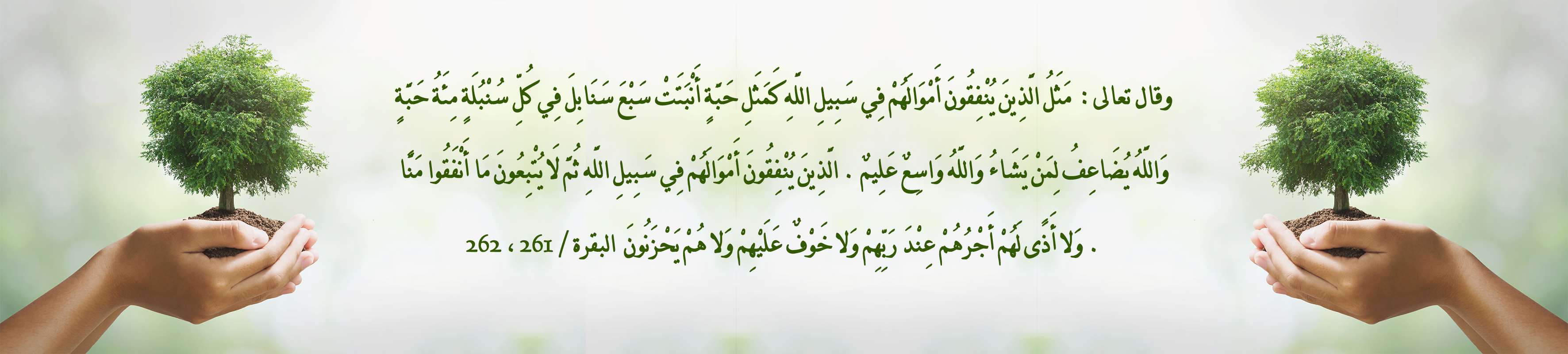 العناية بالمسلمين الجدد